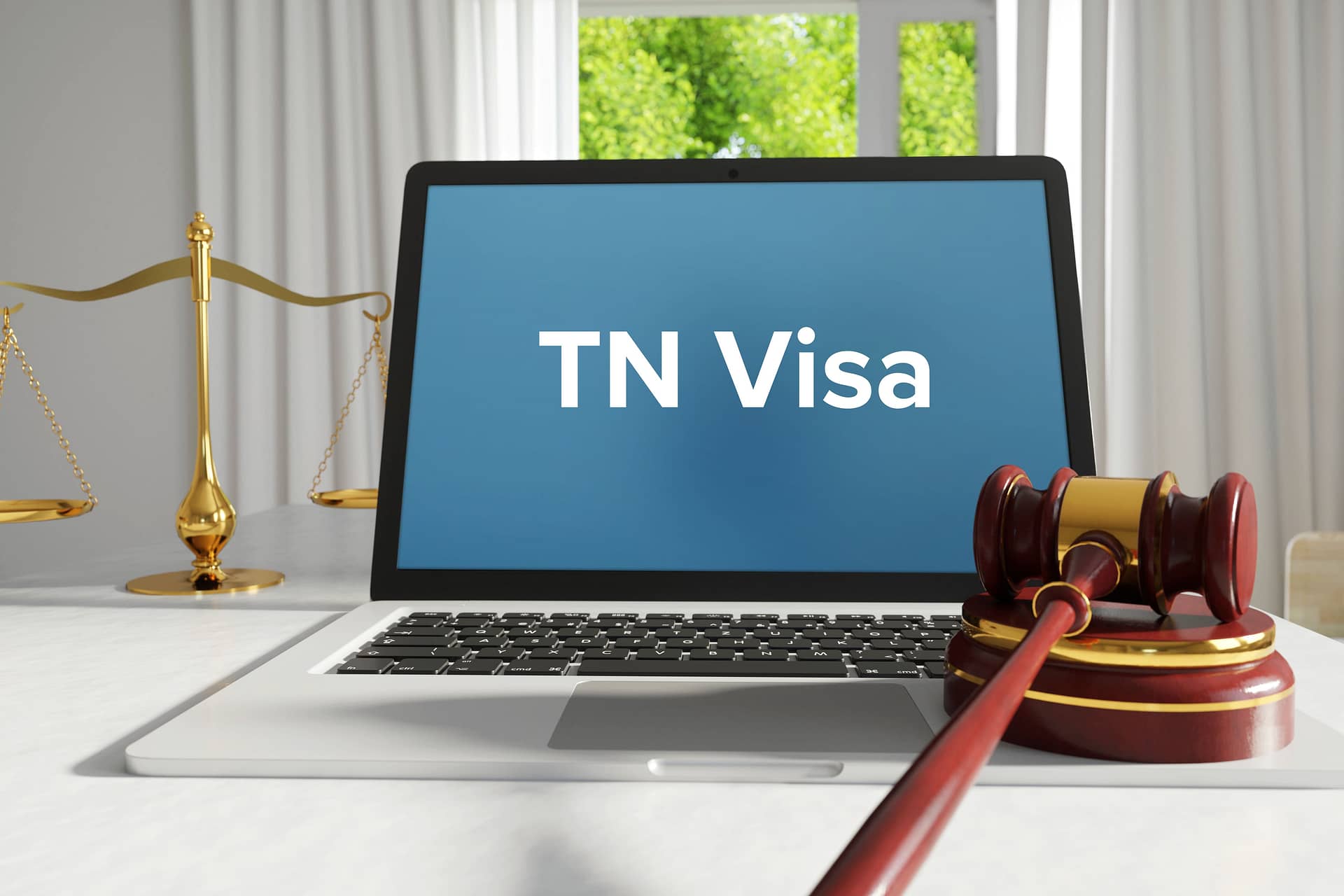 TN Work Visa